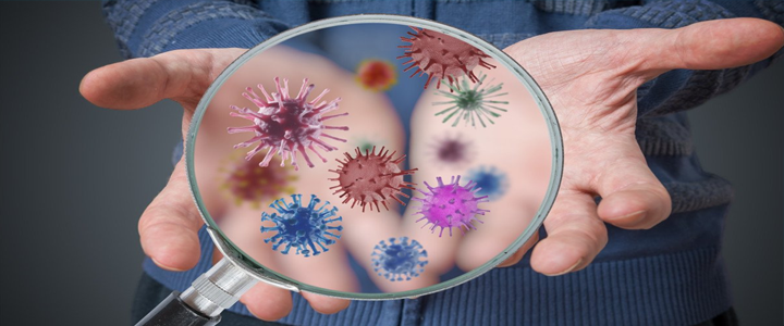 What are germs and how do they spread